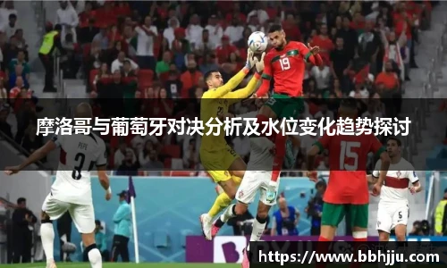 星空·综合体育官网